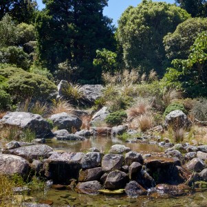 A terraced series of ponds bordered by large rocks and native grasses. The sun is shining and big trees surround the ponds.