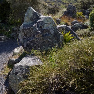 A garden made up of large grey rocks surrounded by shrubby plants in shades of green and red. You can see a hint of the gravel path through the garden beds and the sun is shining.