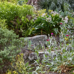 A large rock surrounded by lush greenery and pink, white, and yellow flowers