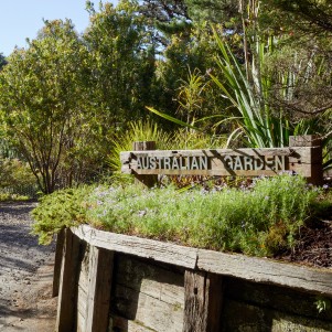 A wooden sign with Australian Garden is surrounded by various green plants and trees, and stands next to a wooden retaining wall on a sunny day.