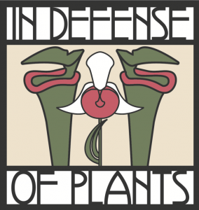 A draw stained glass window style artwork of three orchids with the surrounding text ' In defense of plants'.