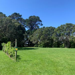 Magpie picnic